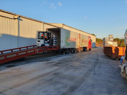 Conditionnement Vins Services, Vignoble à Sallèles-d'Aude