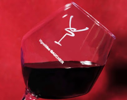 Vignobles Gaucher, Vignoble à Saint-Michel-de-Fronsac