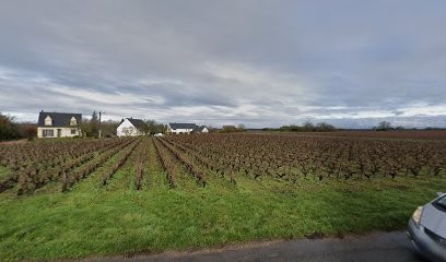 Gautier Benoit-DOMAINE DE LA CHATAIGNERAIE VINS DE VOUVRAY, Vignoble à Rochecorbon