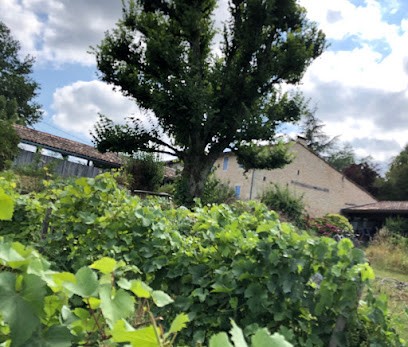 Château Régaldo-Saint Blancard, Vignoble à Salleboeuf
