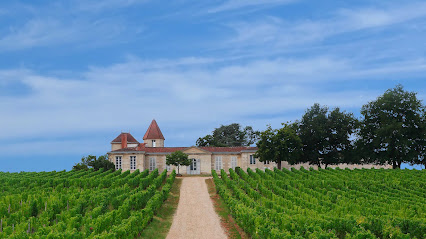 Château Rabaud-Promis Vignoble à Bommes