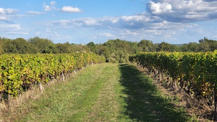 Domaine Du Cheval Blanc - Famille Chaussié, Vignoble à Saint-Germain-de-Grave