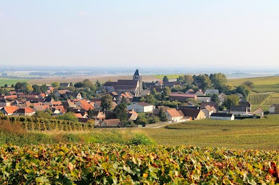Champagne Benoit Mahieux, Vignoble à Fontaine-Denis-Nuisy