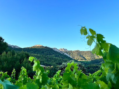 Domaine De Carobelle Vignoble à Vacqueyras