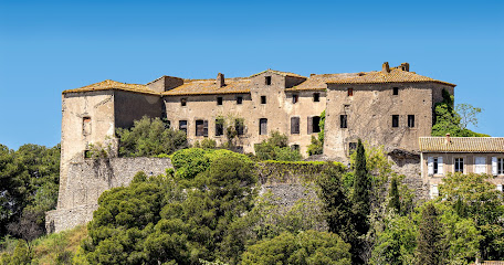Château De Beaufort Vignoble à Beaufort