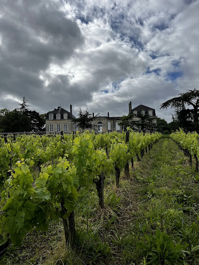 Alli Allpa Vino Vignoble à Sainte-Eulalie