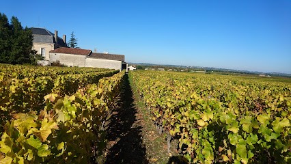 Chateau Lafon EARL Fauthoux, Vignoble à Sauternes