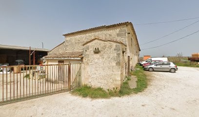 Vignobles Mallet-Audubert, Vignoble à Saint-Aubin-de-Branne