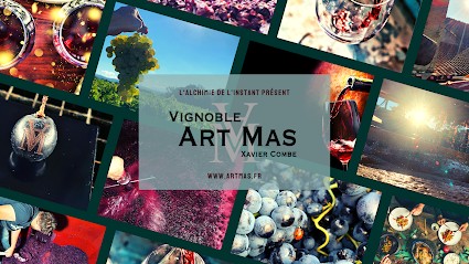 Vignoble Art Mas, Vignoble à Visan