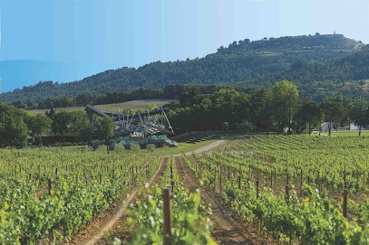 Château La Coste, Vignoble au Puy-Sainte-Réparade