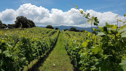 Domaine De Tremica, Vignoble à Casaglione
