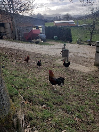 Domaine De Treslemont EURL, Vignoble à Yssingeaux