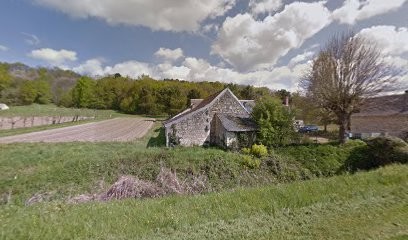 Pitault Jacky, Vignoble à Bourgueil