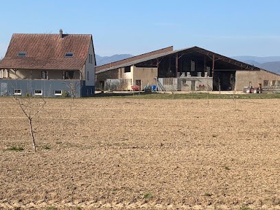 GFA PHILIPP, Vignoble à Zellwiller