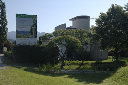 Clairette de Die Union Jeunes Viticulteurs Récoltants, Vignoble à Vercheny