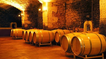 Chateau Saint Esteve D'Uchaux, Vignoble à Uchaux