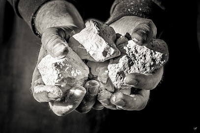 Champagne Vazart - Coquart & Fils, Vignoble à Chouilly