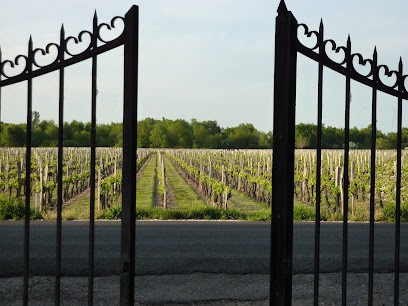 Château Vangelys, Vignoble à Néac