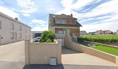 Vincent Dauvergne, Vignoble à Bouzy