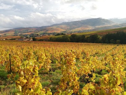 Domaine Clotaire Michal, Vignoble à Saint-Étienne-la-Varenne