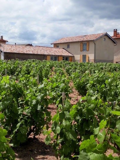 Les Trois Bacchantes, Vignoble à Saint-Étienne-la-Varenne