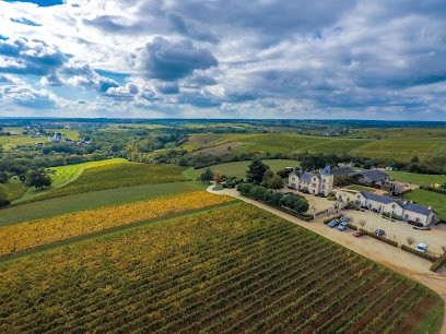 Château Soucherie, Vignoble à Beaulieu-sur-Layon