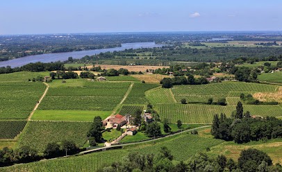 Château Du Gazin, Vignoble à Saint-Michel-de-Fronsac