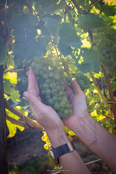 Earl Domaine Leprince, Vignoble à Bourg-Achard