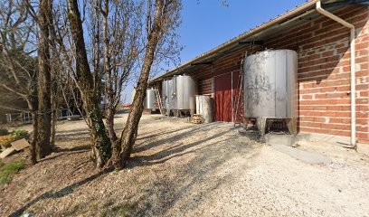 CHÂTEAU GRAVELIER, Vignoble à Saint-Martial