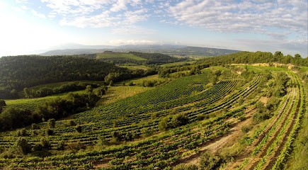 Domaine La Florane, Vignoble à Visan