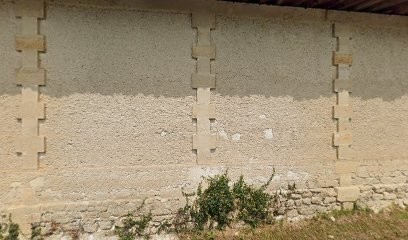 Château De Brague SCE, Vignoble à Vérac