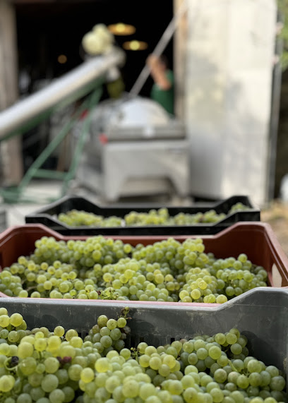 Domaine Moliere Vignoble à Combas