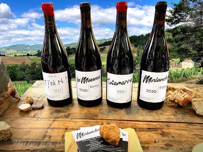 Morlanche, Vignoble à Arlebosc