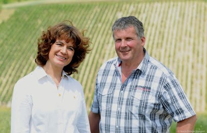 Domaine Pascal Henry, Vignoble à Saint-Cyr-les-Colons