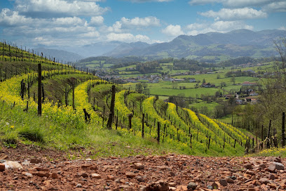 Domaine Apelxenia Vignoble à Ascarat