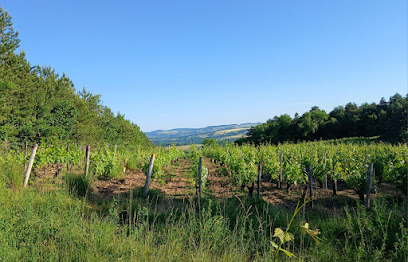 Domaine Vincent Marie - Vins De Tannay, Vignoble à Moissy-Moulinot