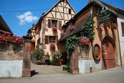 Vins Biologiques Maison Zoeller, Vignoble à Wolxheim