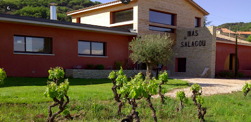 Mas Du Salagou Vignoble à Octon