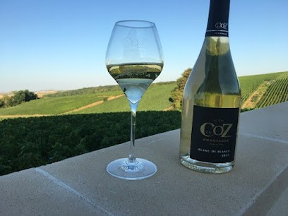 Champagne Le Coz Gérald, Vignoble à Sacy