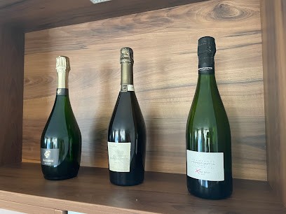 Champagne Froment-Griffon, Vignoble à Sermiers