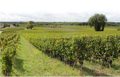 Château Maroy, Vignoble à La Rivière