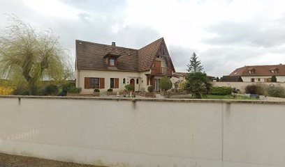 Fauvet-canot Earl, Vignoble à Vaudemange