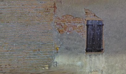 Domaine Buiron, Vignoble à Vinzelles