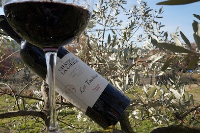 Domaine Les Touchines - Château La Giride, Vignoble à Saint-Didier