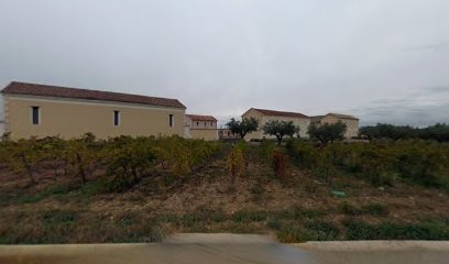 Domaine De La Margue, Vignoble à Saint-Gilles