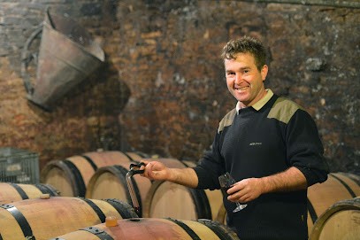 DOMAINE DU MERLE, Vignoble à Sennecey-le-Grand