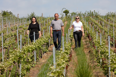 Champagne Justine Cougnet Vignoble à Sainte-Gemme