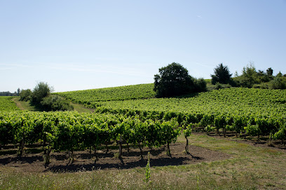 Château La Roseraie Vignoble à Cars