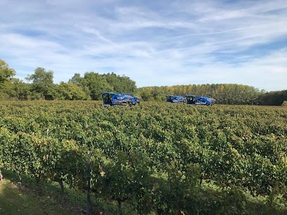 SCE Château Géneau, Vignoble à Virsac
