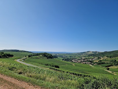 Domaine Gaël Martin, Vignoble à Saint-Vérand